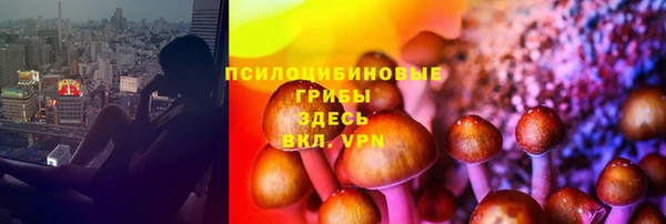 каннабис Абаза