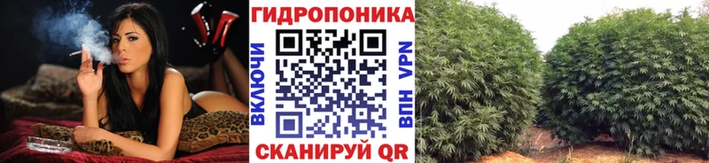 Бошки марихуана Bruce Banner  Беломорск 